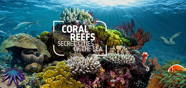 coralreefs
