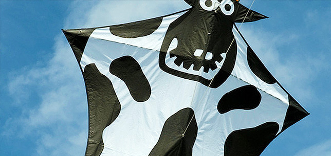 StreathamKiteDay