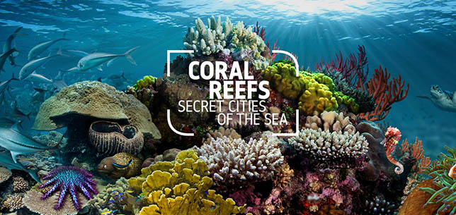 Coralreef