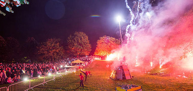 vauxhallfirefestival