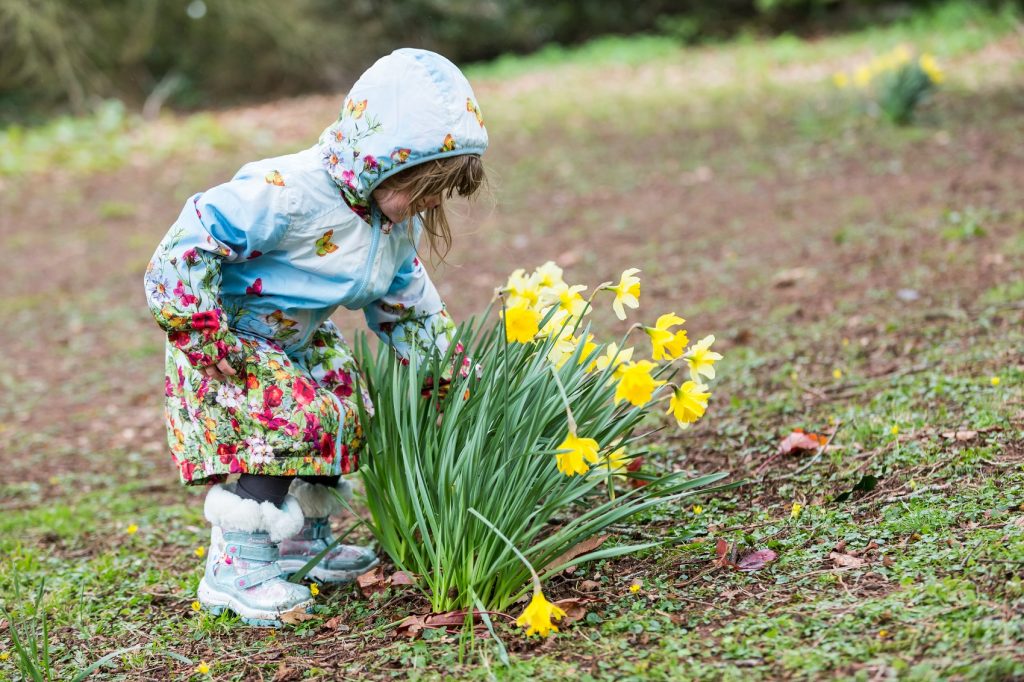 National Trust Annual Membership Easter