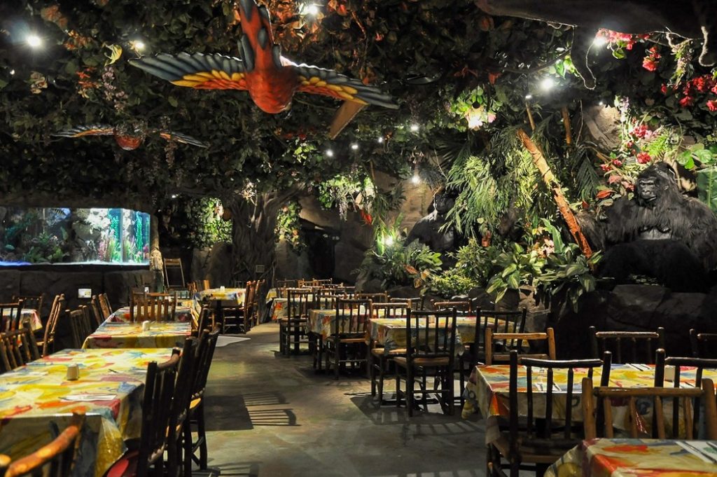 Rainforest Cafe