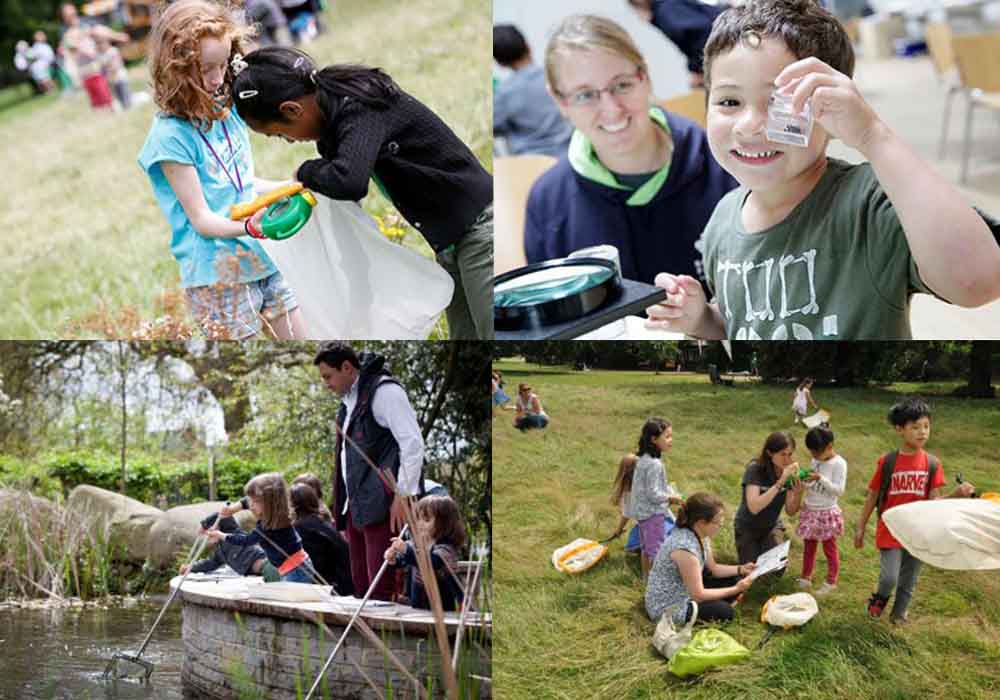 Royal Parks Discovery Days