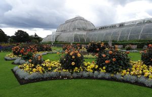 Kew Gardens – All You Need to Know Before You Go – LittleBird Blog