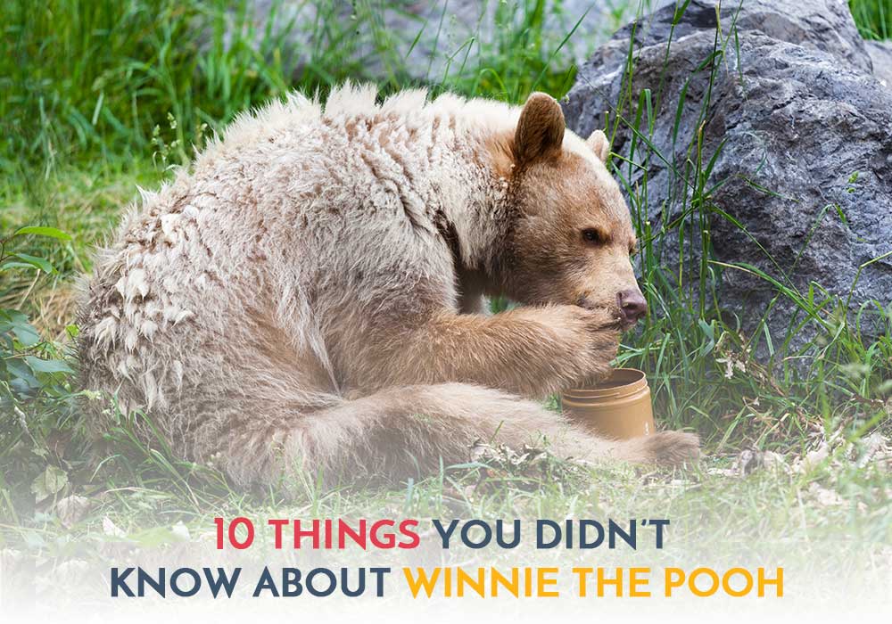 10 things you didn’t know about Winnie-the-Pooh! – LittleBird Blog