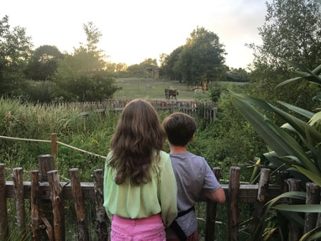 A person standing in front of a fence

Description automatically generated