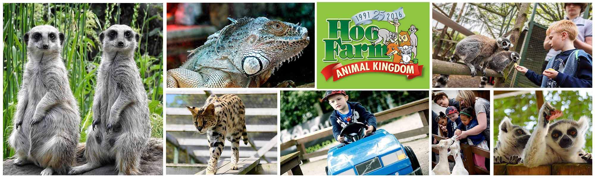 LittleBird Kids Go Free at Hoo Farm Animal Kingdom